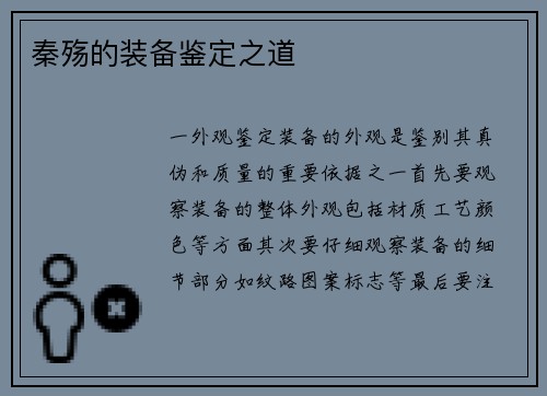 秦殇的装备鉴定之道